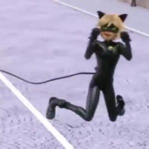 Meet your Posher, Tallodara